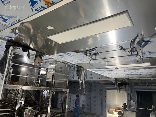 食品加工行業(yè)萬(wàn)級(jí)無(wú)塵無(wú)菌凈化與安防工程一體化設(shè)計(jì)與施工